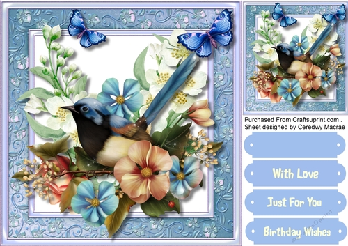 Beautiful Bluebird and Jasmine 