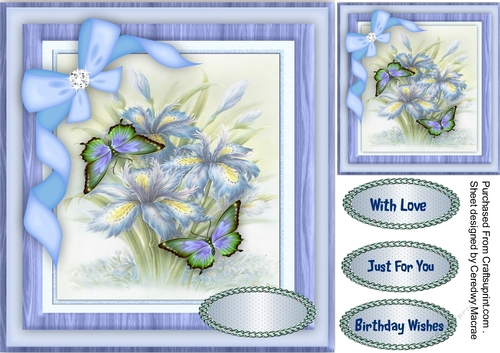 Beautiful Blue Irises and Butterflys 