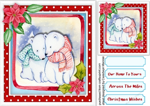 Cosy Pola Bears in there Christmas Scarfs