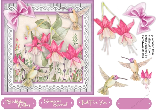 Beautiful Fushias and Humming Birds