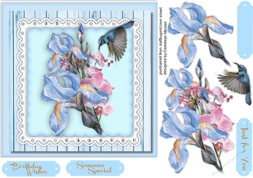 Beautiful Irises and Humming Bird