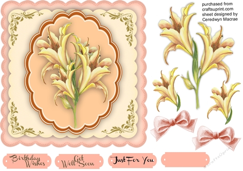 Beautiful Lillys on scalloped Mats 