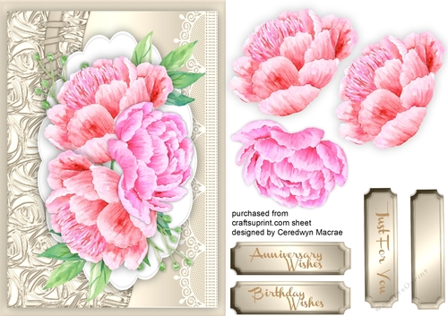 Beautiful Roses on a Sepia mat 