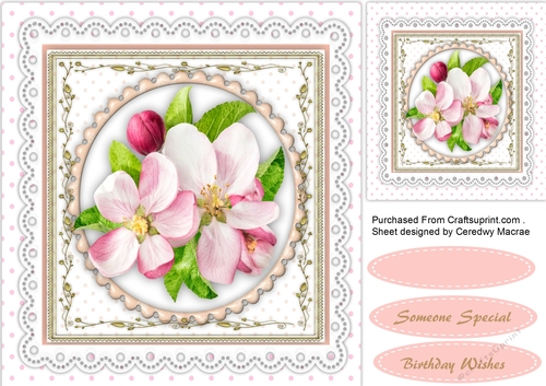 Beautiful Apple Blossom on lace 