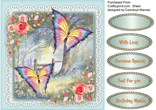Beautiful Scene with Butterflys on a lace frame 