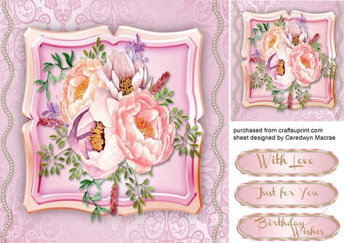 Beautiful Rose on a Shaped Pink Mat 