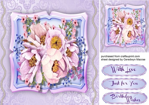 Beautiful Rose on a Shaped  Mat 