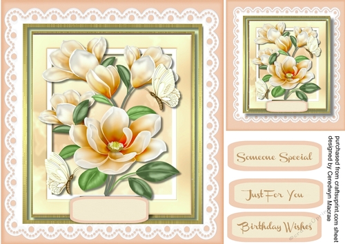 Beautifuol  Cream Magnolias and Butterflys 