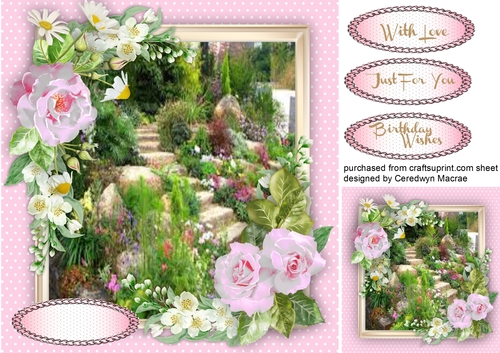 Beautiful Summers Garden
