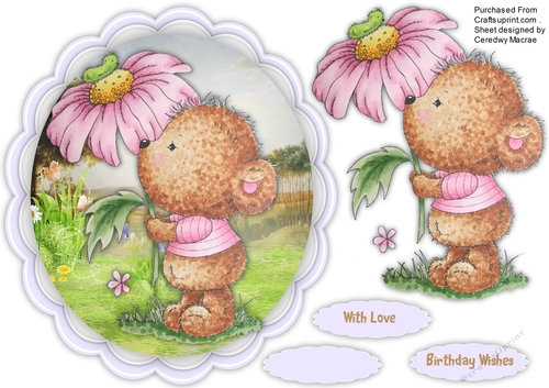 Happiness is a Beary Daisy