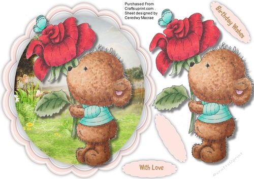 Happines is a Beary Rose 