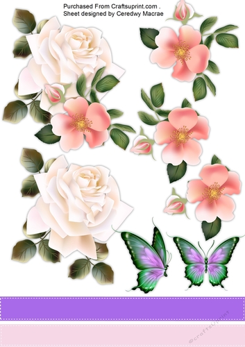 Lovely Pink Roses, Butterflys and Ribbon 