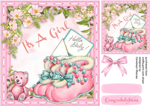 Its a Girl 