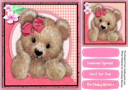 Cute Fuzzy Bear Pink
