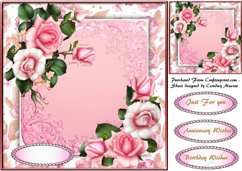 Stunning Soft pink Roses 