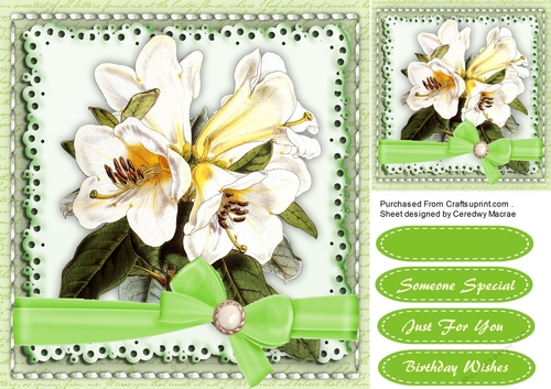 Beautiful Lillys in a saddle stitch mat 