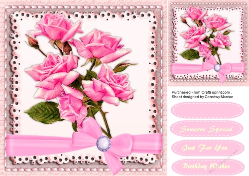 Beautiful Pink Roses in a saddle stitch mat 