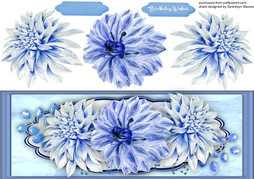 D.L Beautiful Blue Dahlias 
