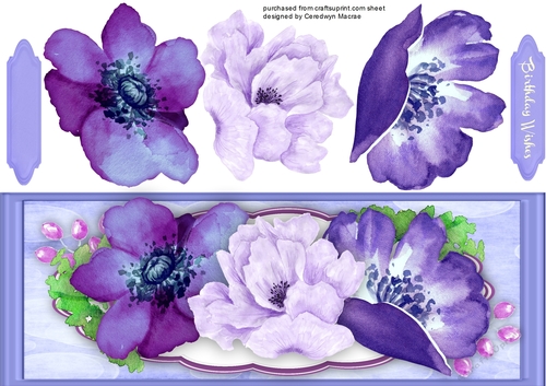 D.L Beautiful lilac Anemones and Rose 