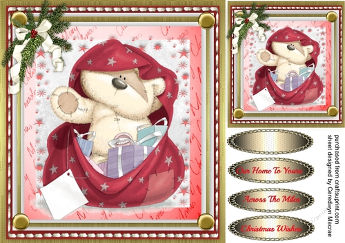 Ted In the Christmas Sack