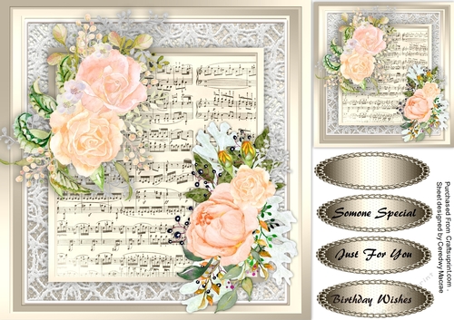 Pink Roses on Vintage Lace 