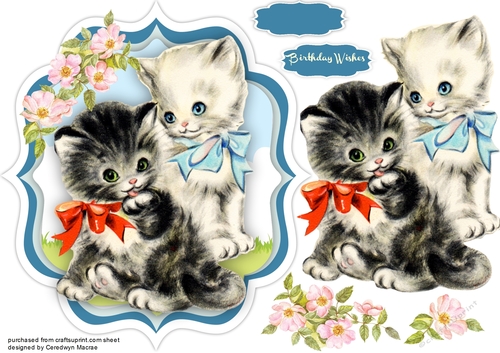 Beautiful Kitties and Blossom 