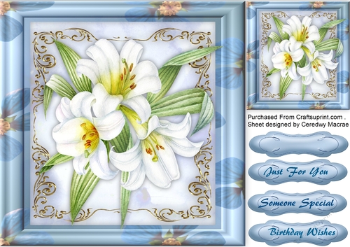 White Lillies in a Blue Flower Frame 