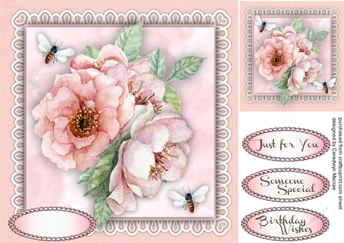 Beautiful Pink Roses and Summer Bees
