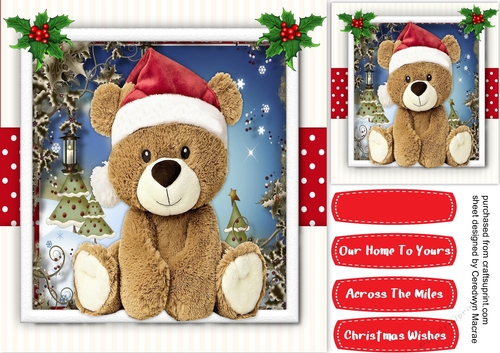 Cute Teddy in his Christmas Hat 