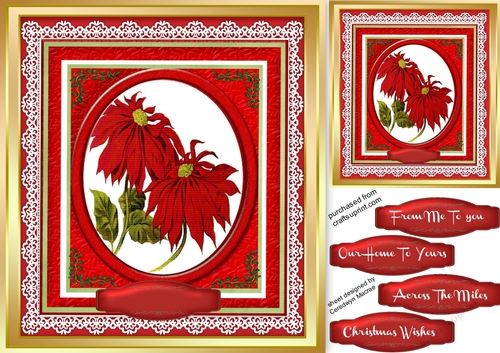 Beautiful Poinsettias in a lace frame 