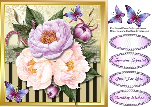 Beautifu Roses and Butterflys 3