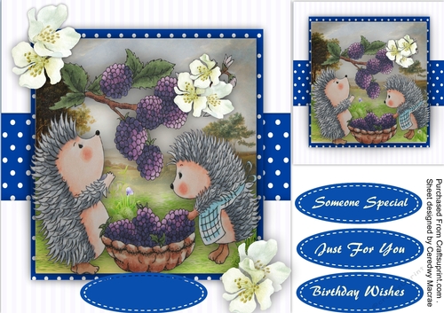 Hedgy Berry Treats