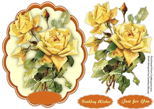 Beautiful Yellow Klien Roses 