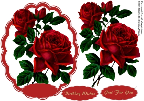 Beautiful  Red Love Roses 