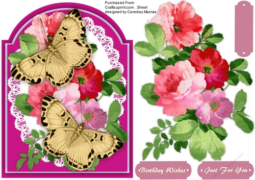 Beautiful Butterflys on Roses 