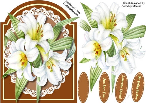 Beautiful Lillys on Lace 