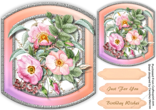 Lovely Shaped Mat with Pink Roses 