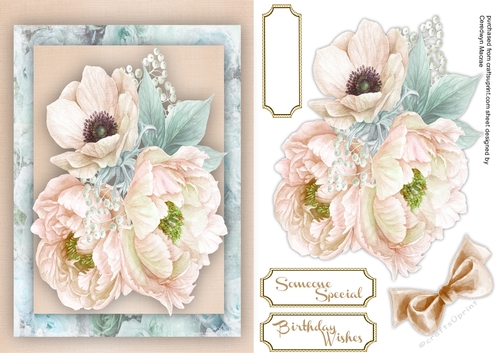 A5 Cream  roses and Anemone