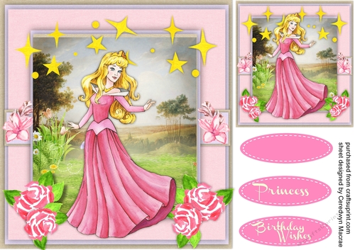 Princess in Pink 