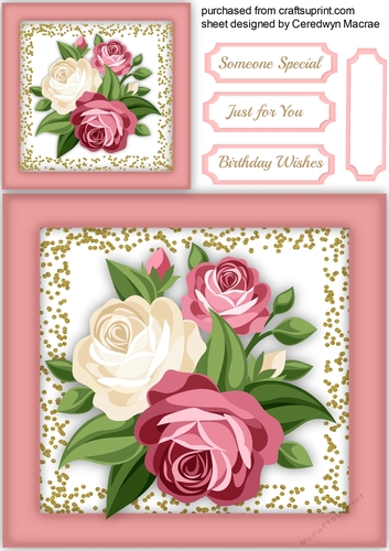 Lovely Cream and Pink Roses in a pink Frame 