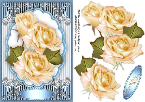 Beautiful Cream Rosss 