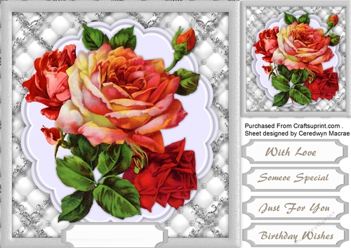 Lovely Monocrome and red Roses 