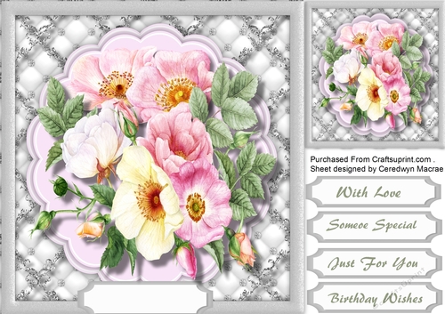 Lovely Monocrome and Pink Briar  Roses 