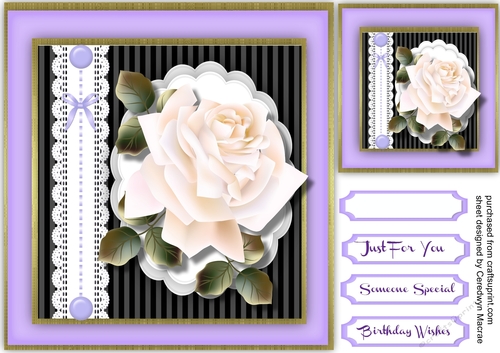 Lovely Cream Roses 