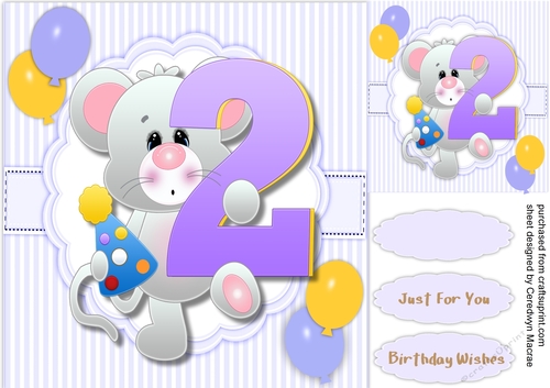 Mouses 2nd Birthday