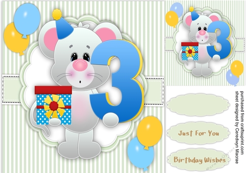 Mouses 3rd Birthday