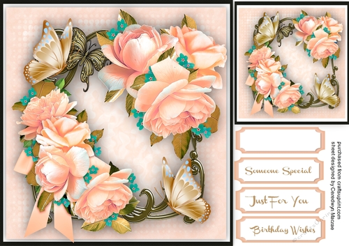Apricot Ross and  butterflys 