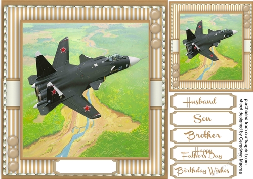  Fighter Plane in the Sky 