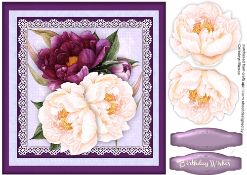 Beautiful Mauve and Cream Peonys 