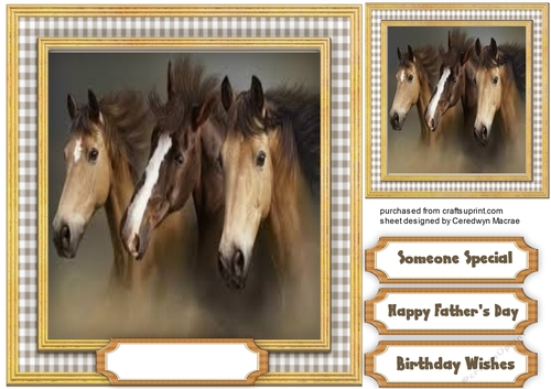 Beautiful Horses Running Free 